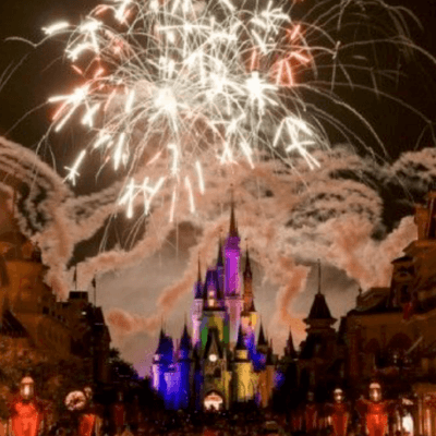 Disney World Fireworks Cruise - How to Book