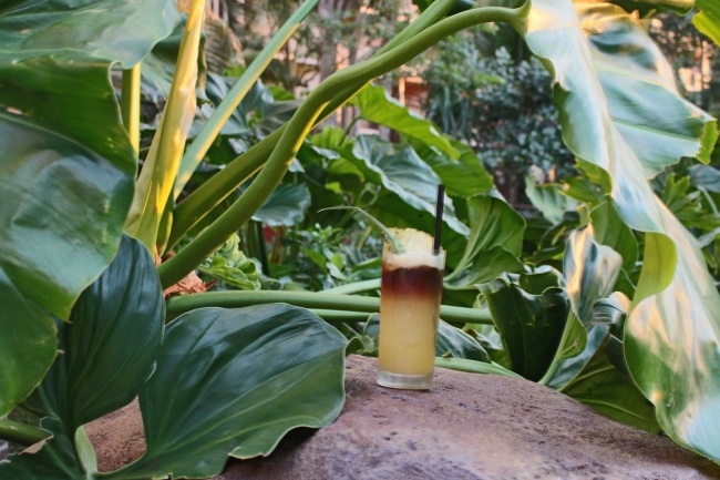 Disney Aulani Mai Tai