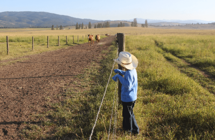 Horseback Riding in Montana at The Resort at Paws Up