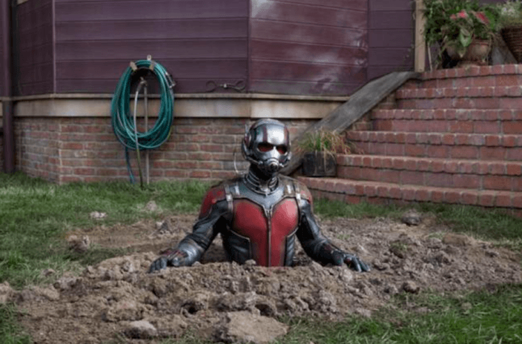 Ant Man - Review