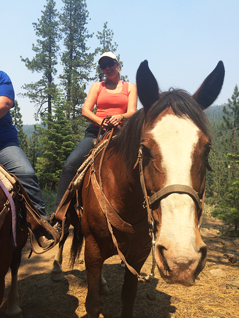 horse back riding alpine meadows lake tahoe