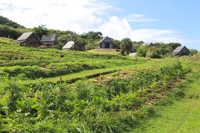 Belle Mont Farm