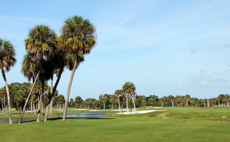 golf at sarasota luxury beach resort - longboat key club