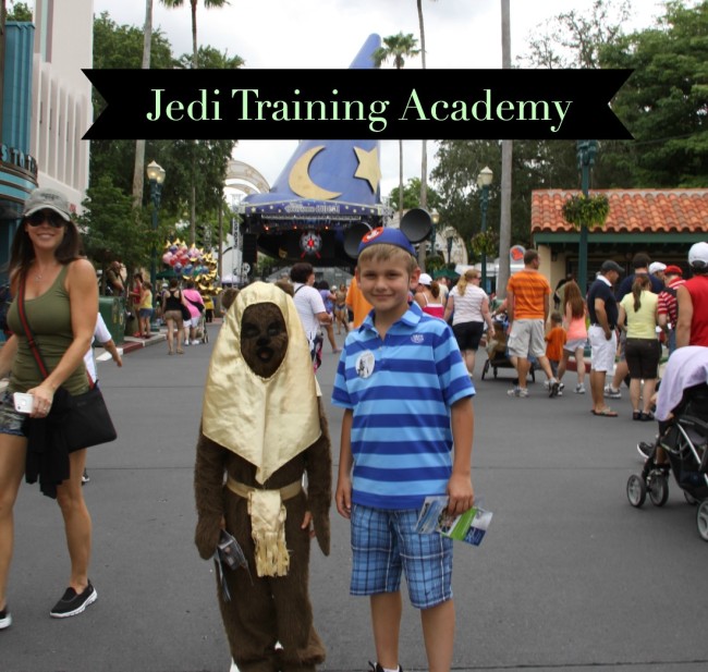 Jedi Training Academy