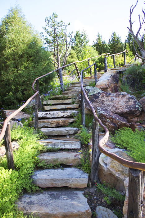 Betty Ford Alpine Gardens