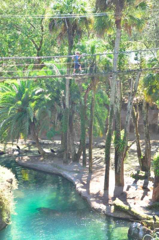 Wild Africa Trek Disney World