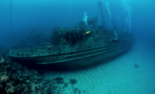 to do in bermuda